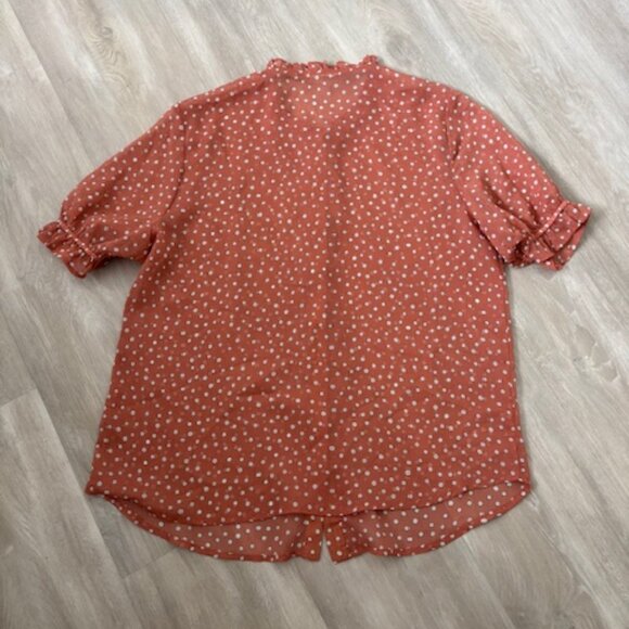 Pleione Sheer Ruffle Front Sleeve Blouse - size small - Picture 4 of 6